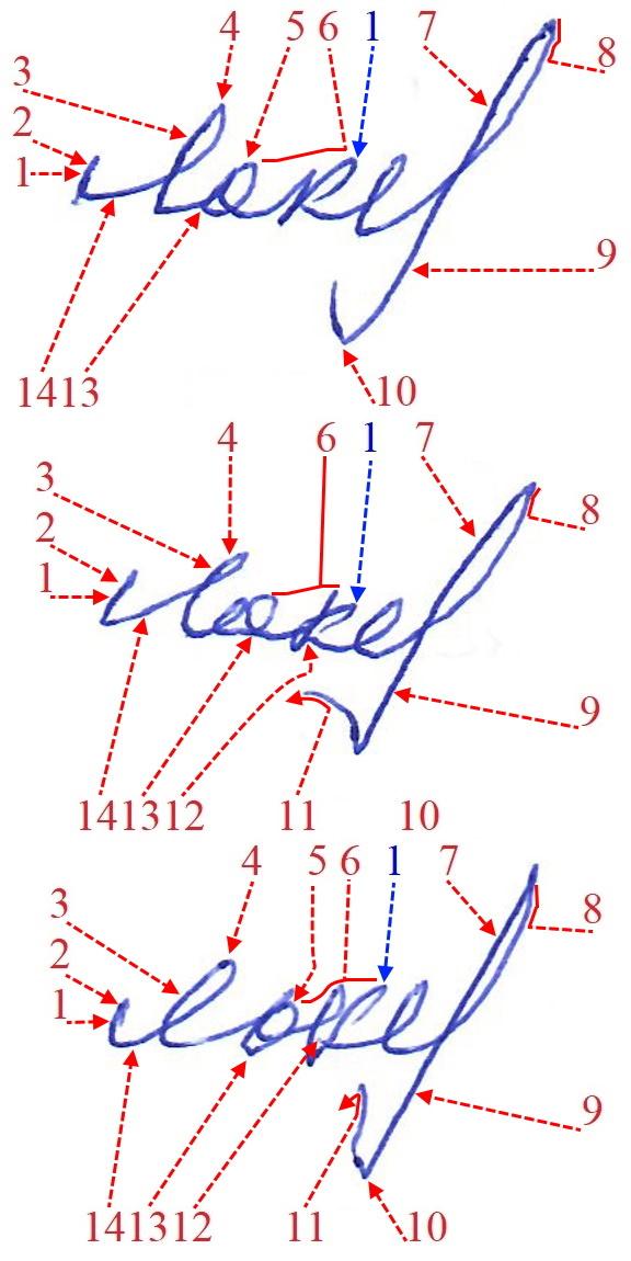 Экспертиза №163112