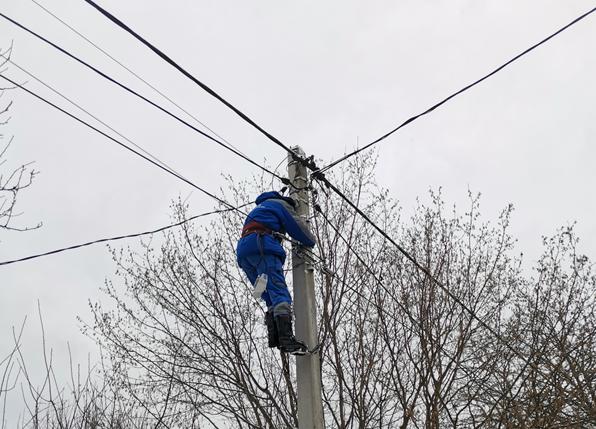 Экспертиза №162589