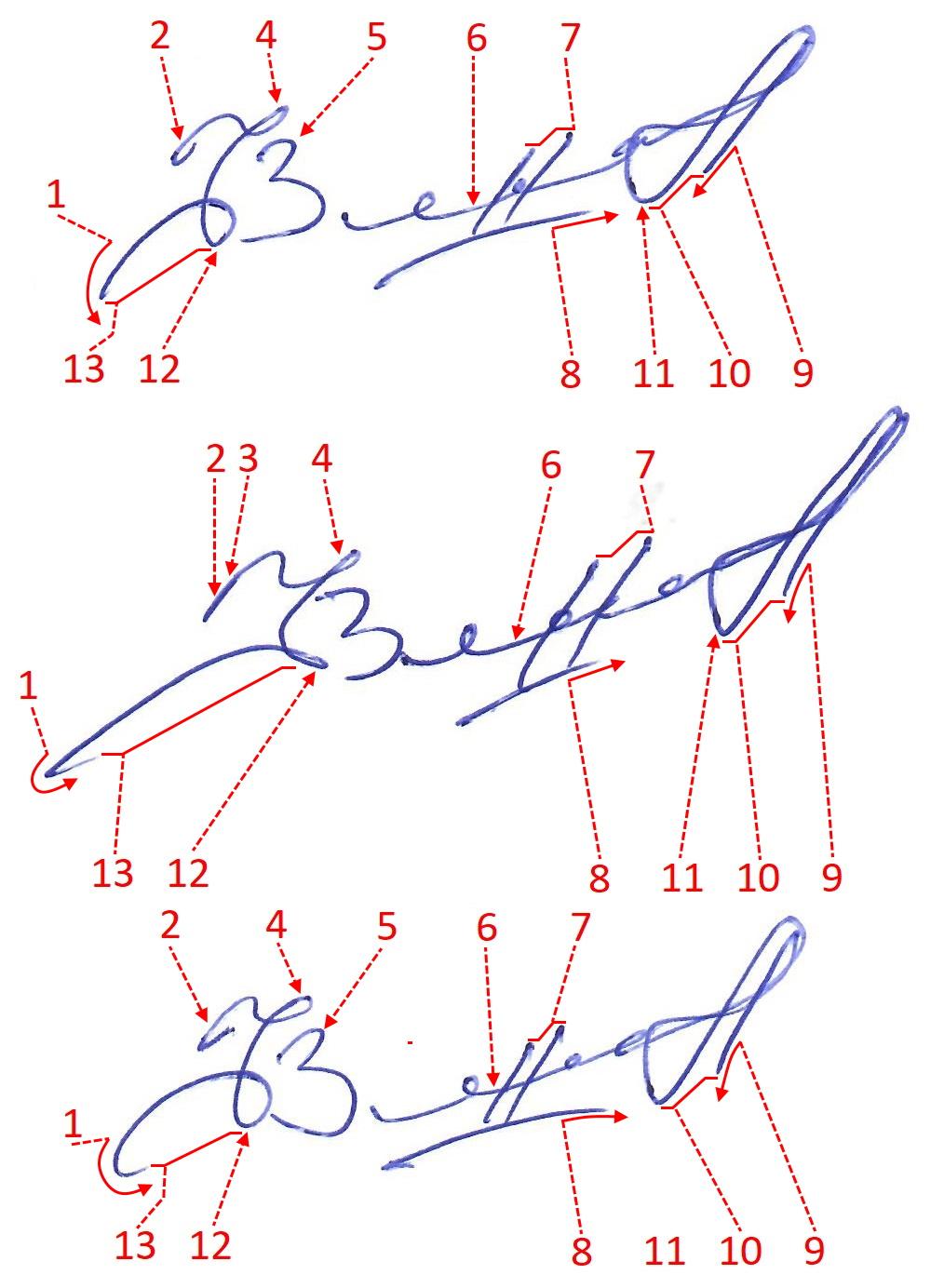 Экспертиза №161587