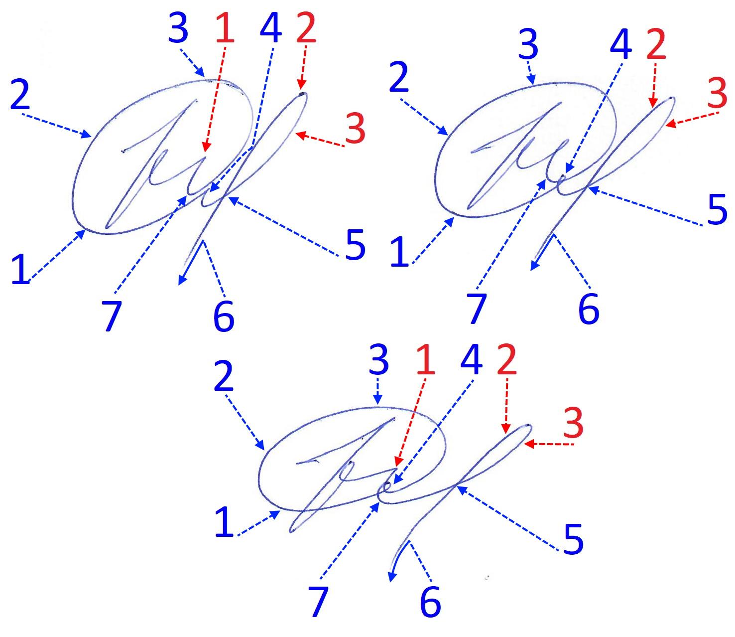Экспертиза №161129