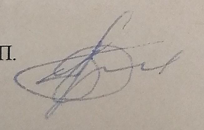 Экспертиза №161075