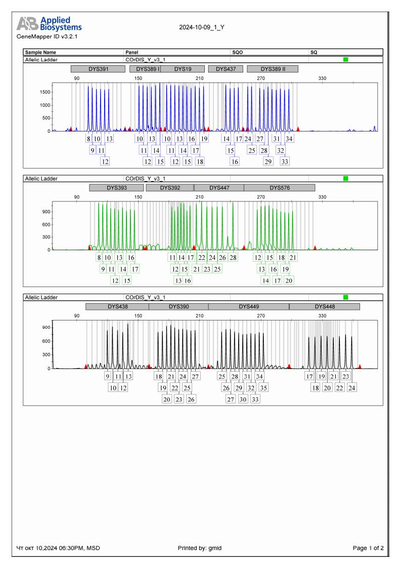 Экспертиза №161063