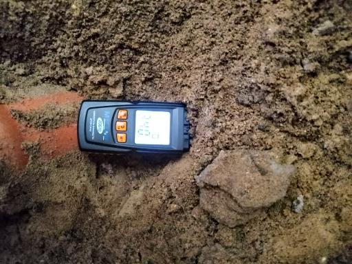 Экспертиза №159065