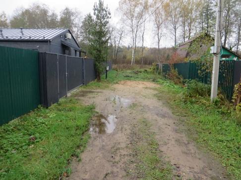 Экспертиза №159064