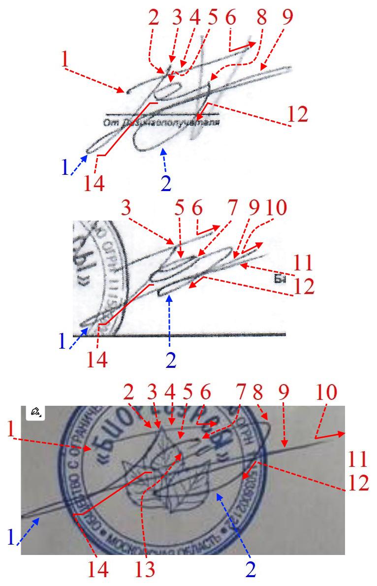 Экспертиза №157182