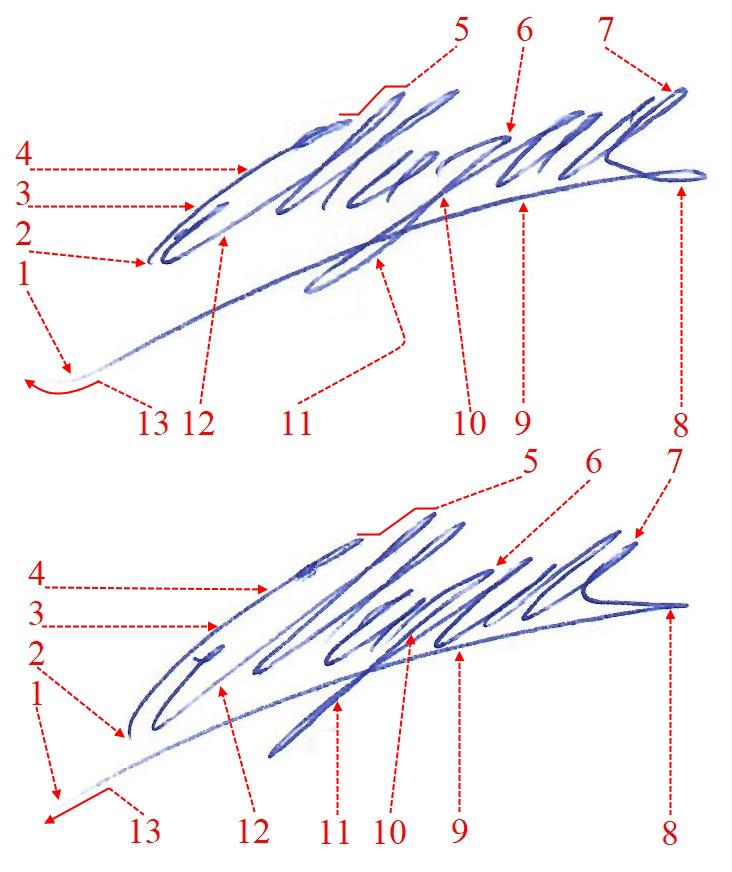 Экспертиза №157075