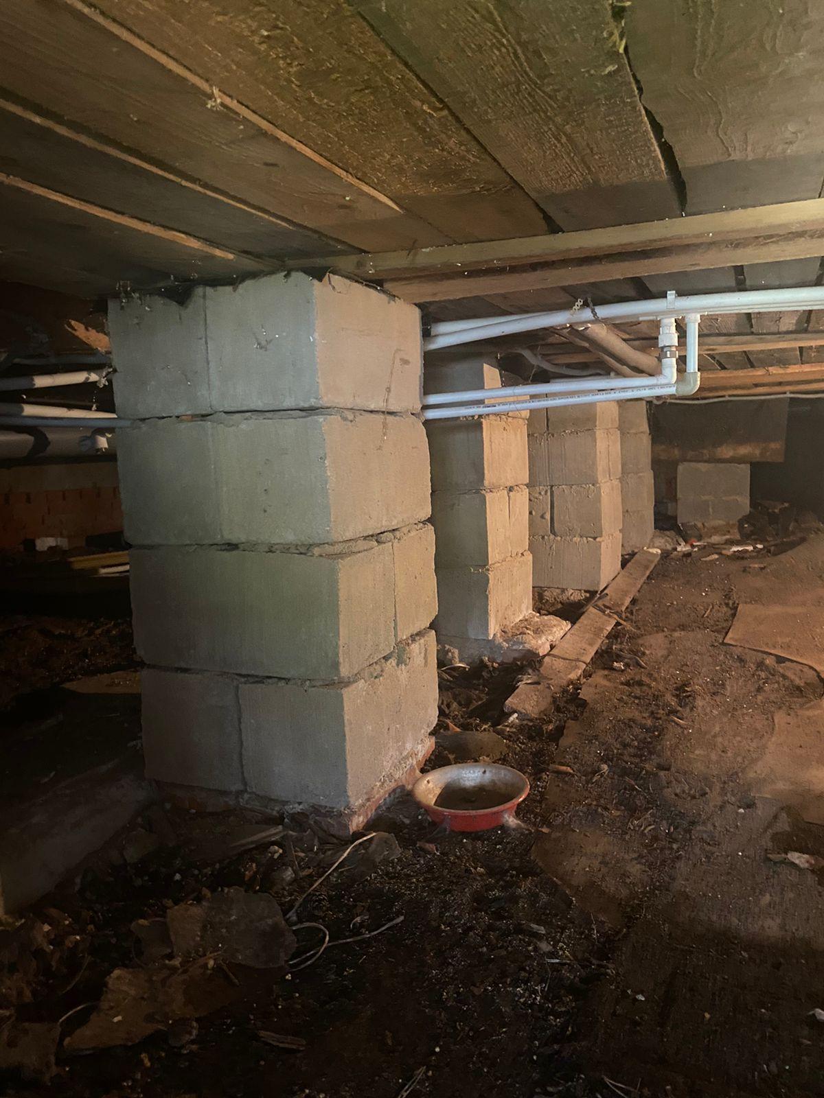 Экспертиза №156930