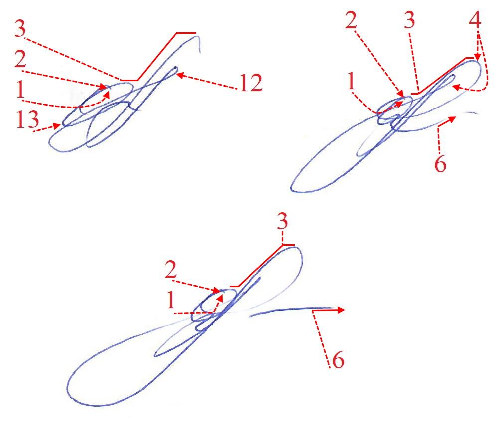 Экспертиза №154531