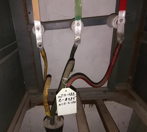 Экспертиза №147598