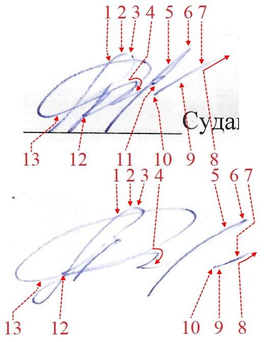 Экспертиза №147175