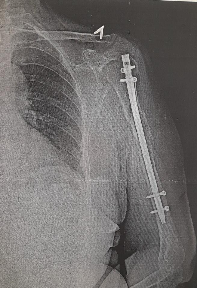 Экспертиза №147086