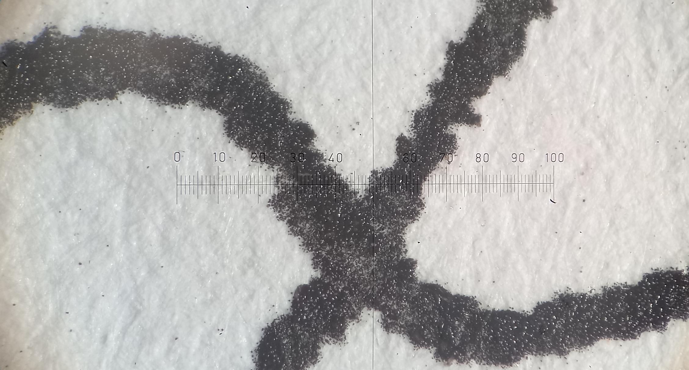 Экспертиза №143793