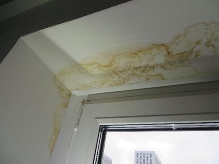 Экспертиза №142967