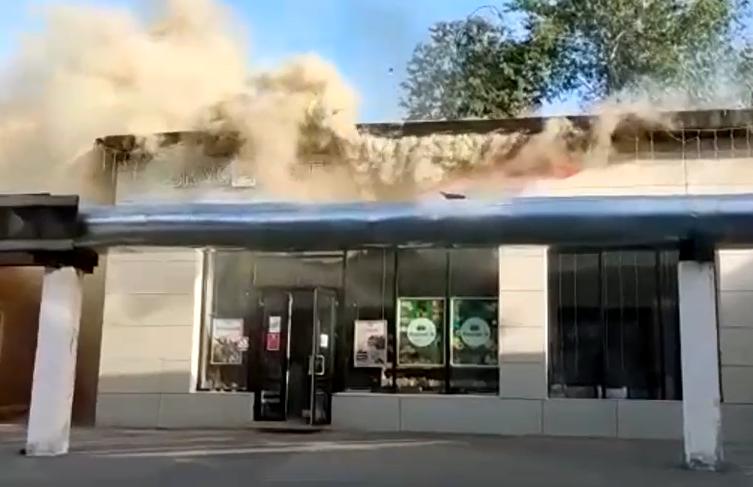 Экспертиза №142285