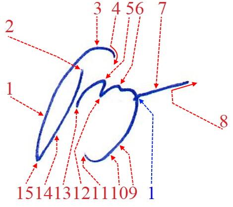 Экспертиза №142137
