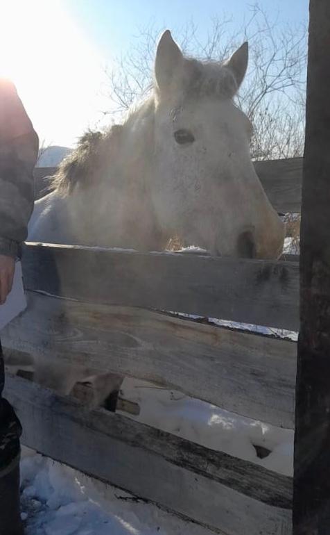 Экспертиза №128222