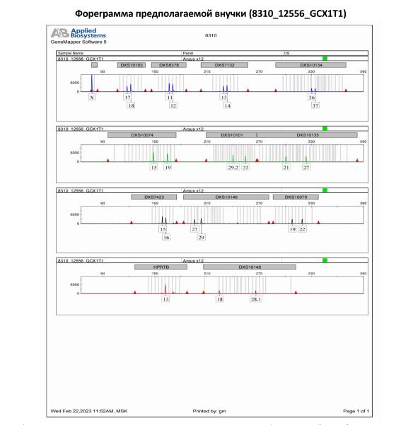 Экспертиза №126903