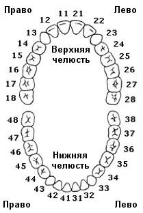 Экспертиза №116390