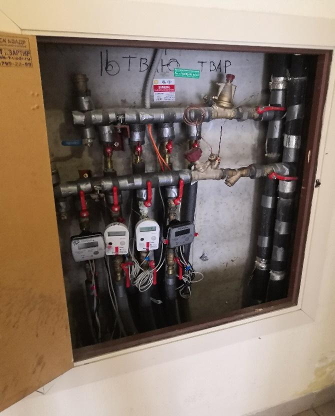 Экспертиза №115902