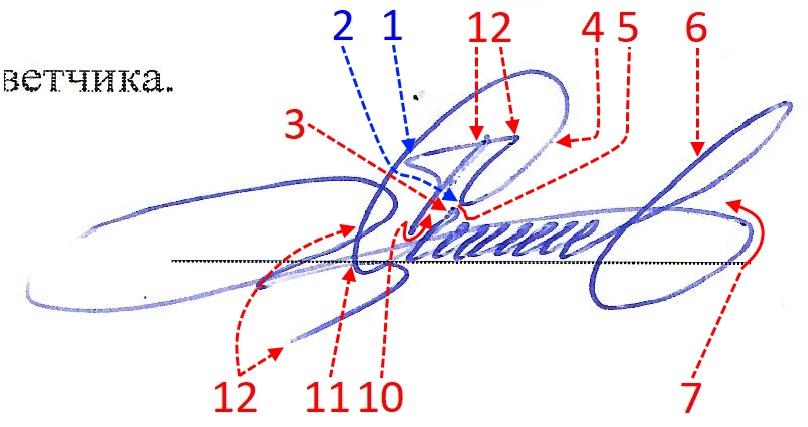 Экспертиза №113344