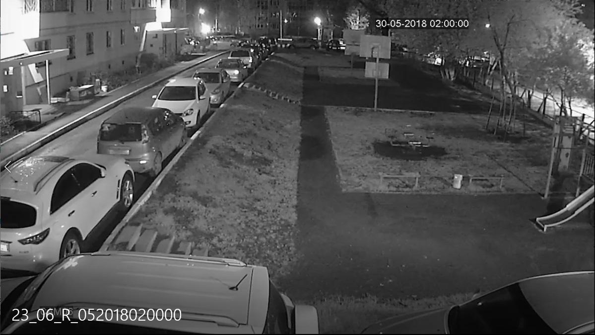 Экспертиза №113034