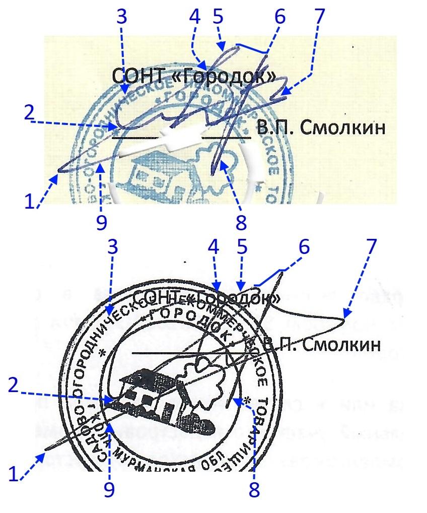 Экспертиза №112986