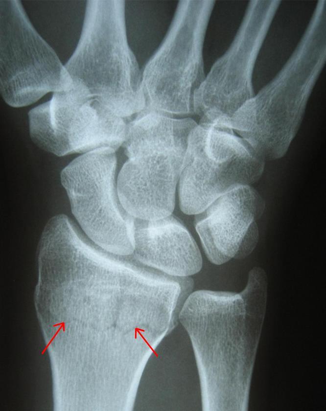 Экспертиза №106523