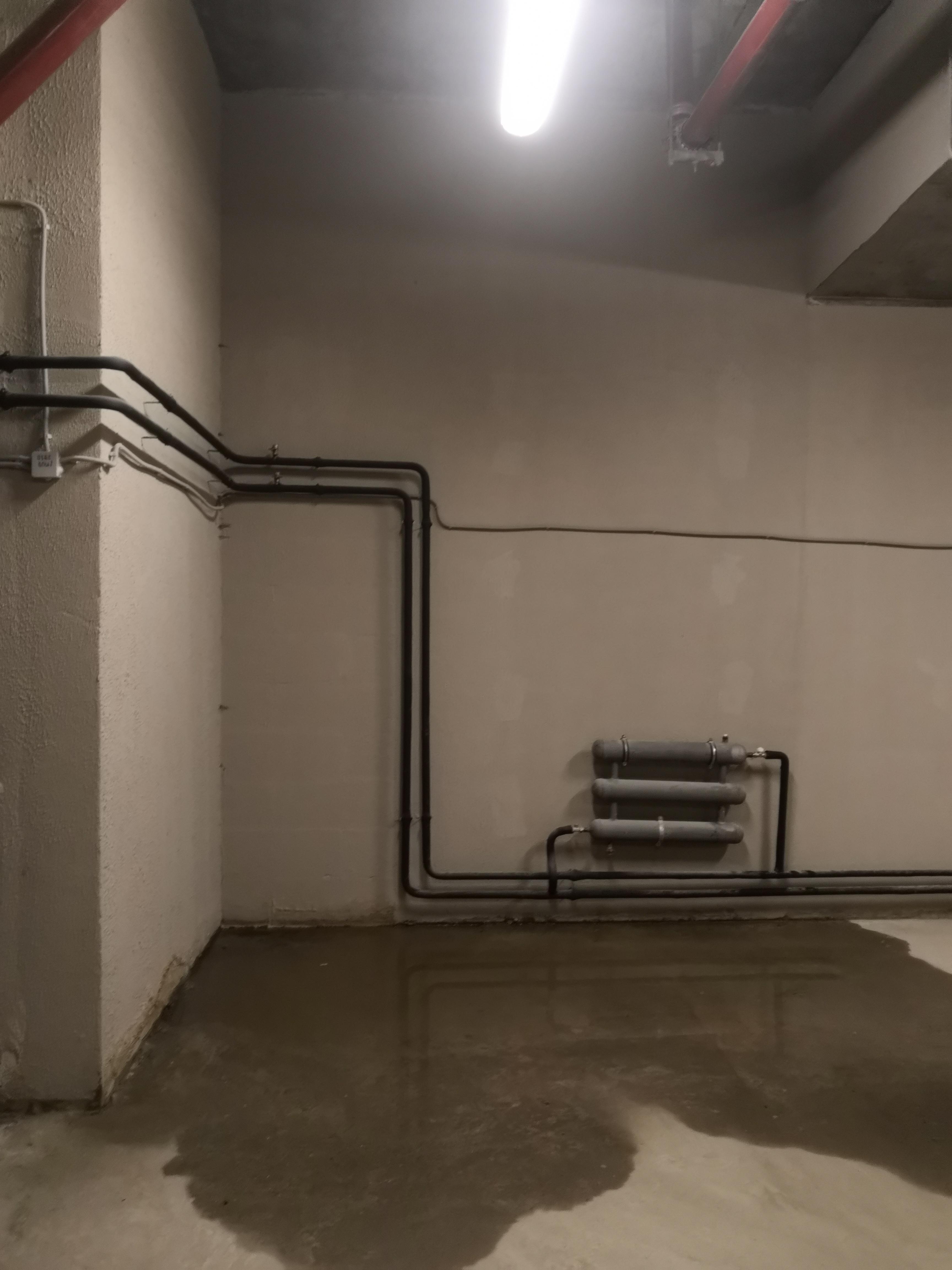 Экспертиза №97142