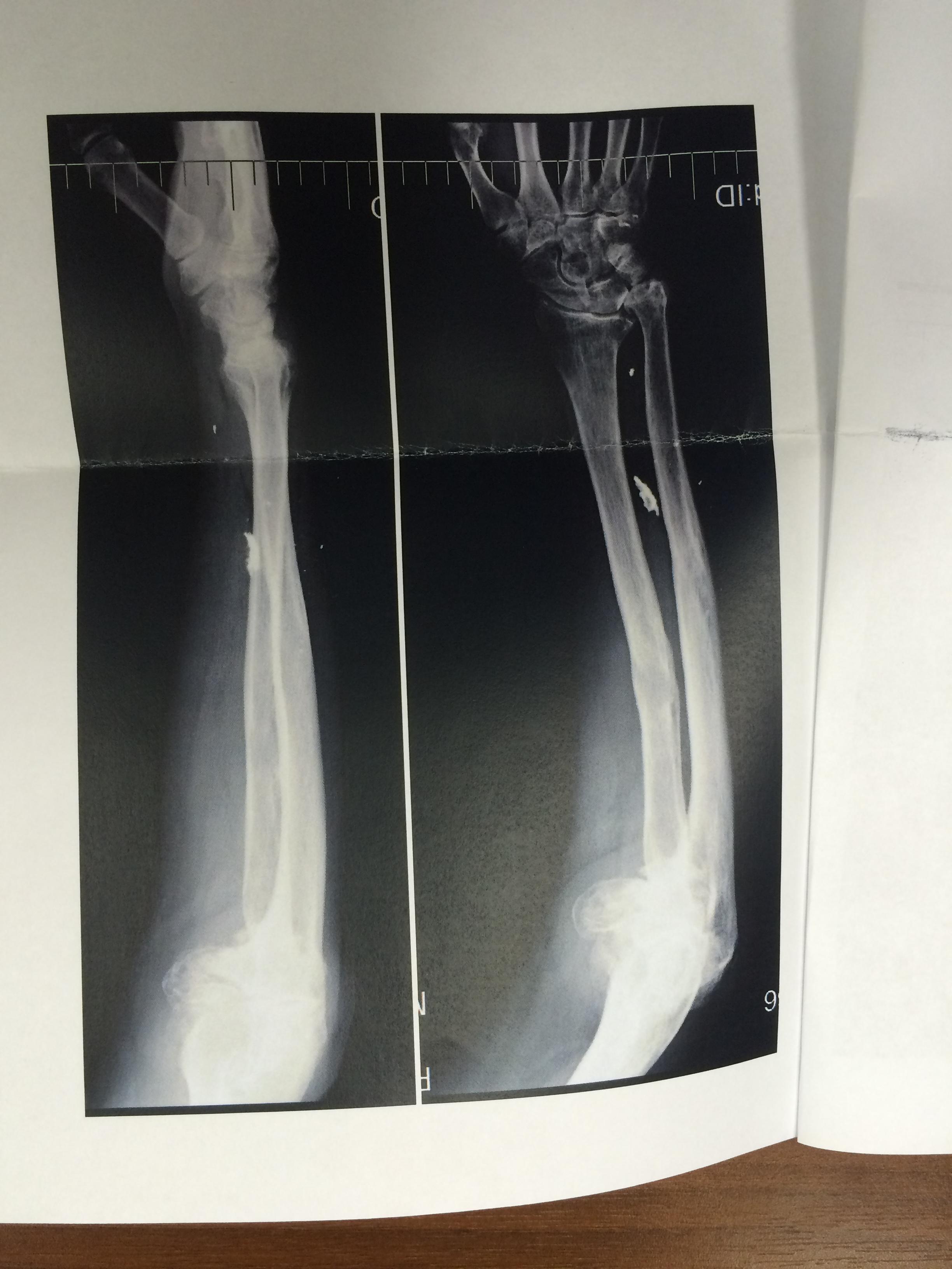 Экспертиза №22876