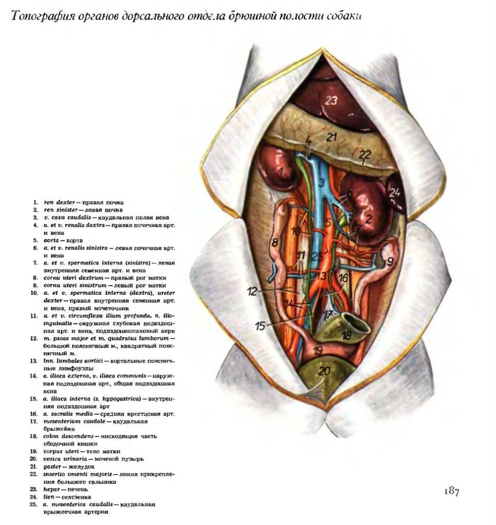 Экспертиза №74044