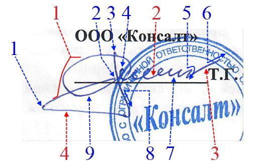 Экспертиза №179759