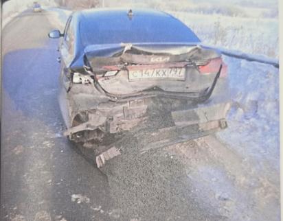 Экспертиза №183169