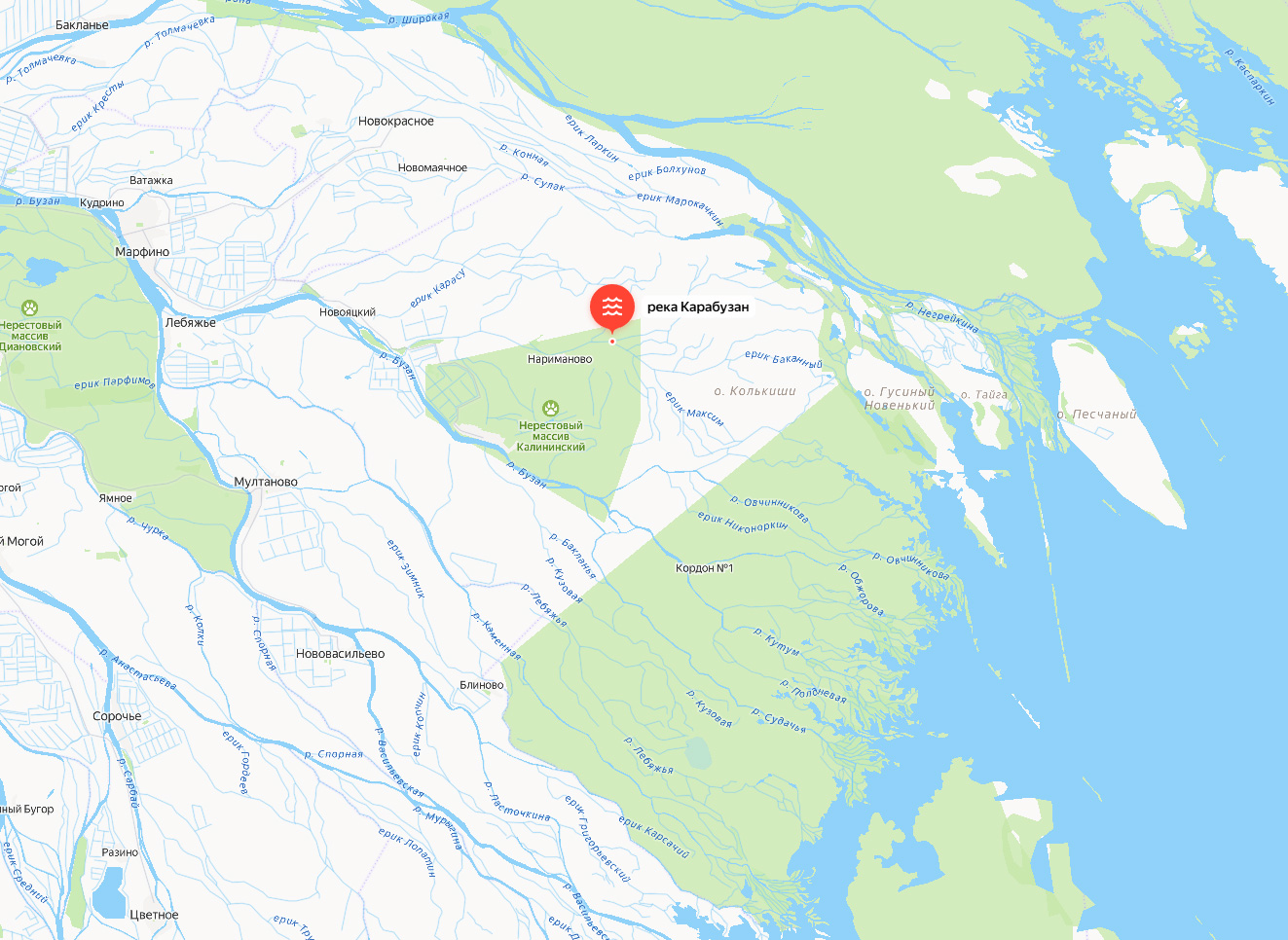 Экспертиза №155147