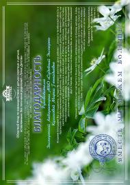 Благодарственное письмо благотворительного фонда «Лучик детства»