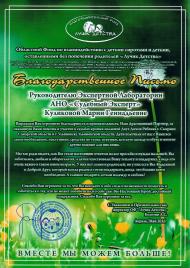 Благодарственное письмо благотворительного фонда «Лучик детства»