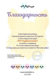Благодарственное письмо от благотворительного фонда «Котодетки»