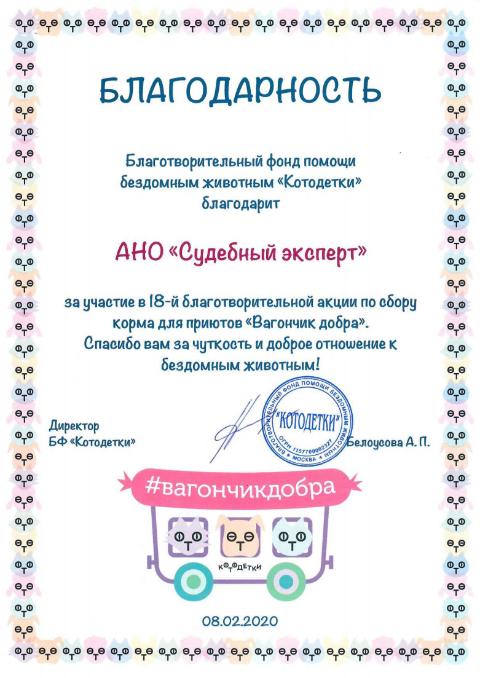 Благодарственное письмо от благотворительного фонда «Котодетки»